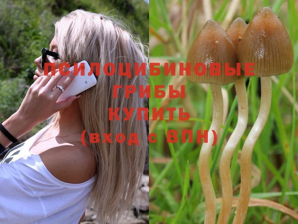 шишки Баксан