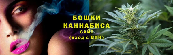 шишки Баксан