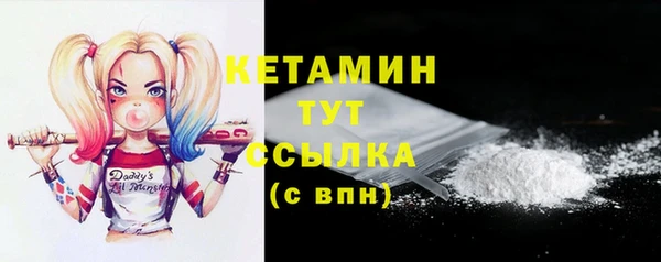 стаф Арсеньев
