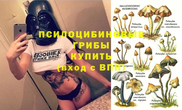 шишки Баксан