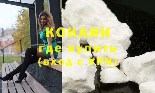 шишки Баксан