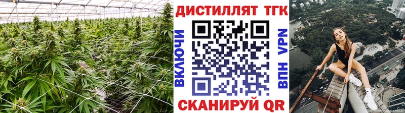 купить наркотик  Великие Луки  Дистиллят ТГК гашишное масло 